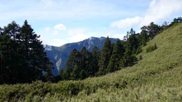 百岳志佳陽大山一日單登67670