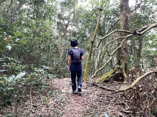 小百岳｜高雄茂林鳴海山1606723