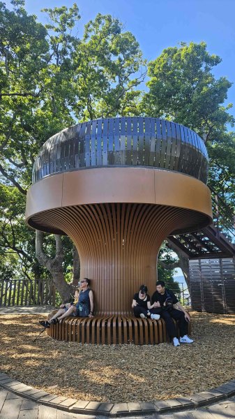 20250816劍潭山方舟森林-北眼平台-微風平台2864247