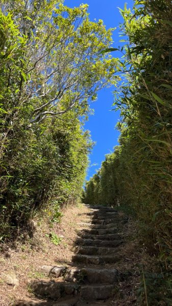 淡水興福寮古道2923339