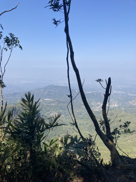 20260219九龍山+崩山+黑石崁山南峰+黑石崁山+凍仔頂山3002562