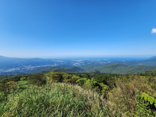 20250322-姜子寮山2739997