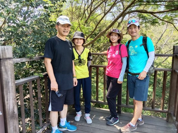 《夏日大坑同行記｜10號步道登稜線，與家人感受山風與人情味》2926365