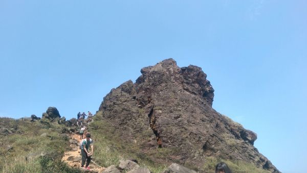 黃金三稜(無耳茶壺山-半平山-燦光寮山)284385