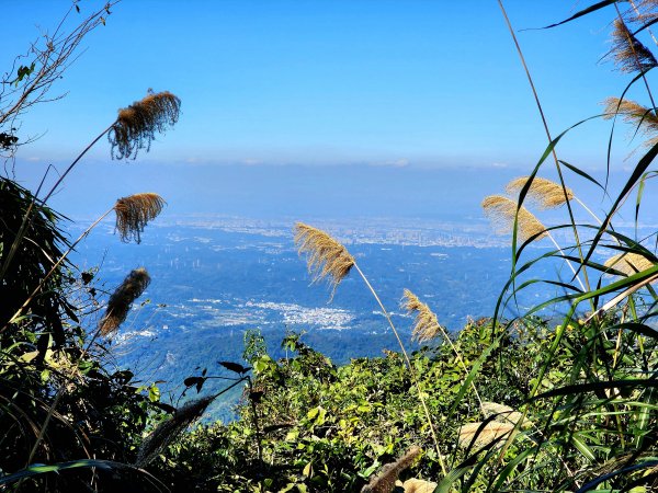 小百岳集起來-五指山2181597