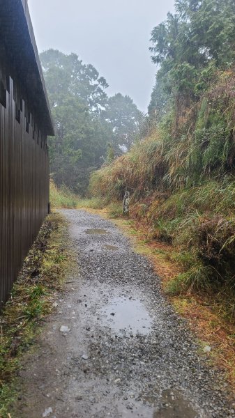 2025-0222 翠峰湖環山步道2718629