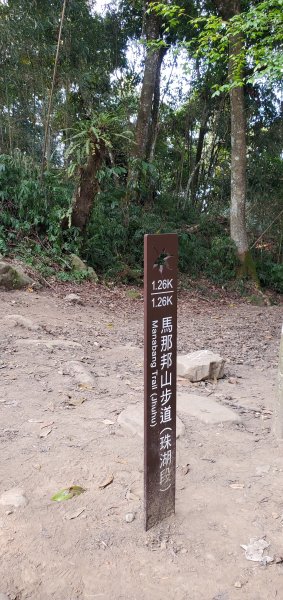 2023-03-12馬那邦山登山步道2065838