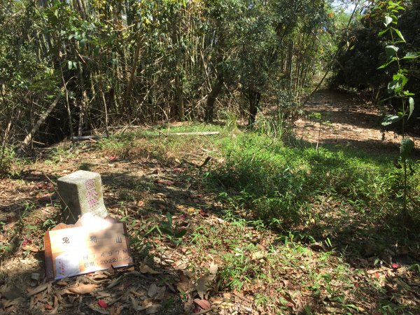 20220305高雄兔和山1633583