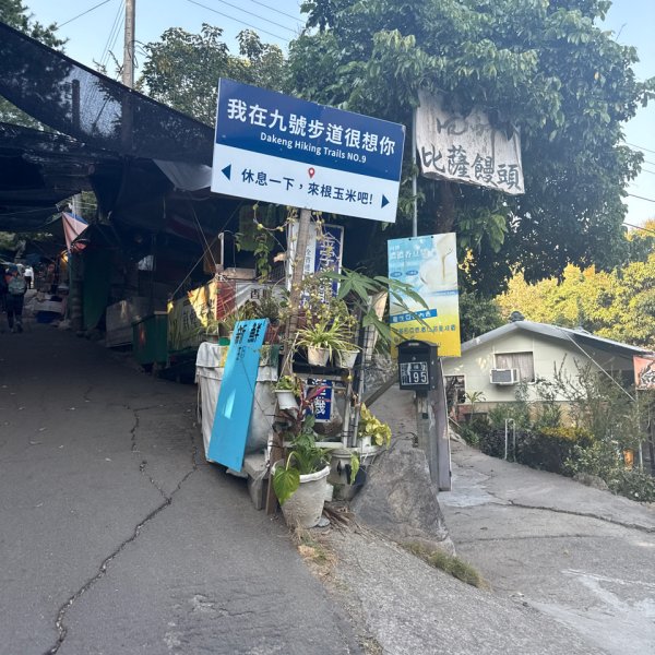 20260218 台中－臺灣百大必訪步道大坑9、10號步道3006432