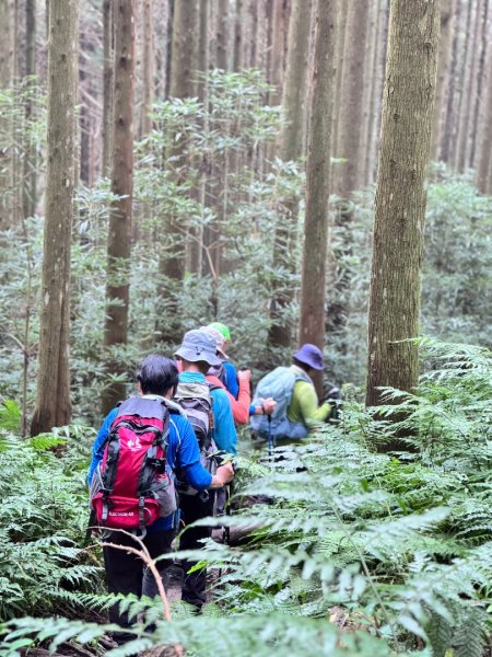 光天高山 - 向天湖山(小百岳32) 小O一圈2876735