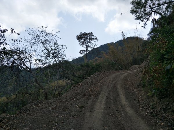 小百岳:白雲山1323188