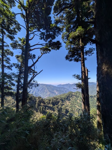 結界縱走三日(結城山、境界山、檜山)2920898