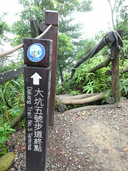 為雪山東峰特訓--大坑步道452438153