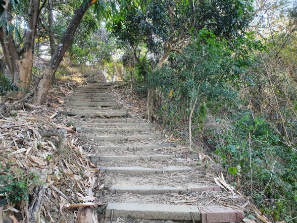 南觀音山步道（小百岳）1259909