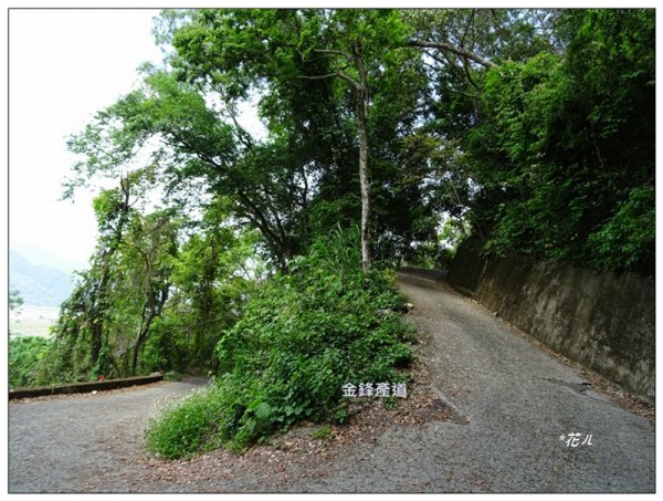 打鐵坑山、打鐵坑山北峰 (台中、和平)1674676