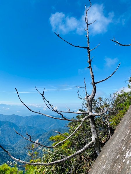 鳶嘴山-稍來山O型縱走(中級山 / 小百岳) 刺激攀岩。山嵐繚繞。傳神小象。杉樹林群。2583509