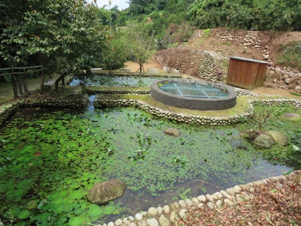 旱溪源頭自然生態區2878020