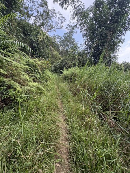 20251018台南 崁馬鞍部啟登崁頭山2920737