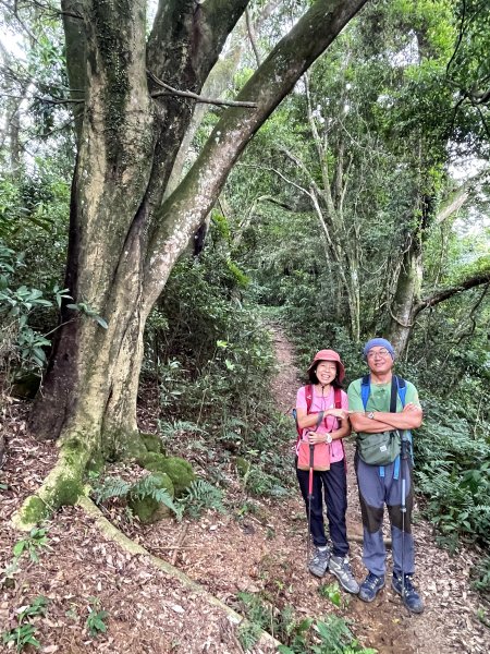 關西赤柯山+東獅頭山 O繞 202307262232661