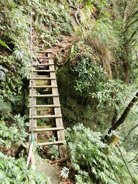 步道巡訪員 l 鳥嘴山步道 7月巡訪日誌1020952