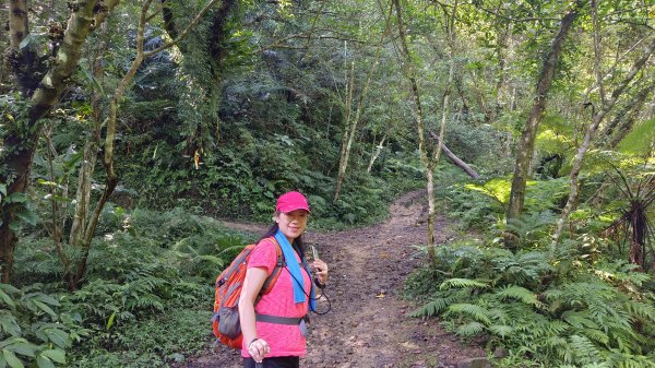 (姨婆趴趴走)第十四集:新竹關西油井窩山、彩和山、高甫山縱走2206432