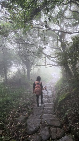 20231014 陽明山東西大縱走十連峰2312785