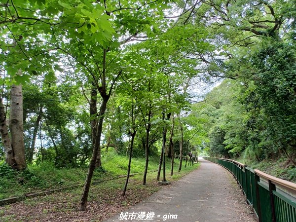 【台中外埔】沿著水圳散散步。 外埔水流東桐花步道1731443