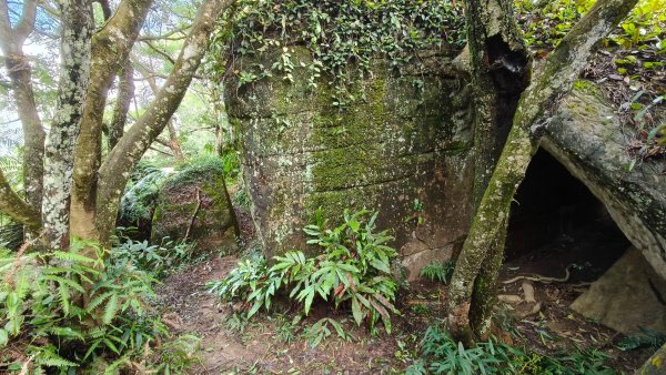 燕溪古道-大崙尾山西峰-仙座台山-圓明寺步道2926541