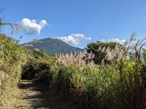 中正山 頂湖山1533429