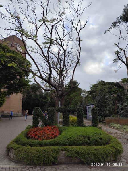 4-1 國立臺灣大學校園巡禮2691863