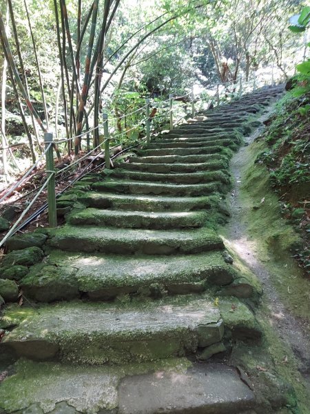 20230924土城朱財華步道、大尖山、二尖山、青龍嶺2293920