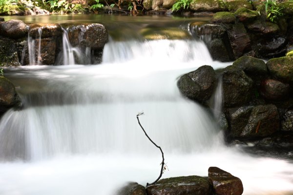 2025_0628 大羅蘭溪古圳步道(福山馬岸)2825220