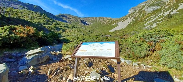 【台中和平】山迢路遠換壯闊山景。 No75百岳雪山東峰xNo2百岳雪山主峰 (兩天兩夜)2347683