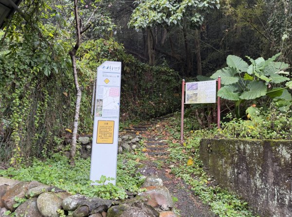 [樟之細路_第一大段RSA04] 2026_0329 伙房崎古道3027145