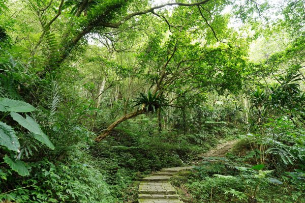 臺北 南港 南港山、拇指山、象、獅、豹、虎、四分里山、茅草埔山2803416