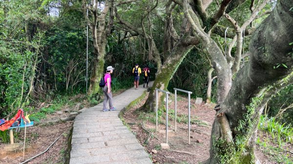 臺北大縱走第六段：中華科大到富陽生態公園2156009