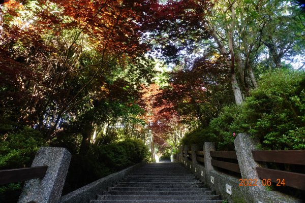 宜蘭 大同 太平山森林遊樂區1743627