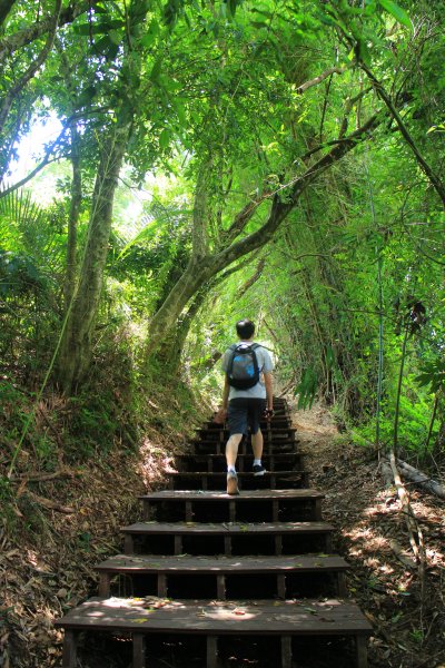 挑啊挑! 挑過山道 20190606759118