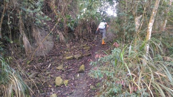 三腳南山〈H1187M〉（小百岳）294342