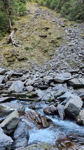 20251214合歡西北下華崗2963730