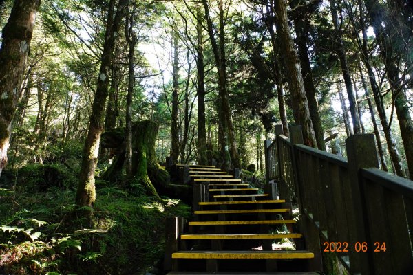 宜蘭 大同 太平山森林遊樂區1743643