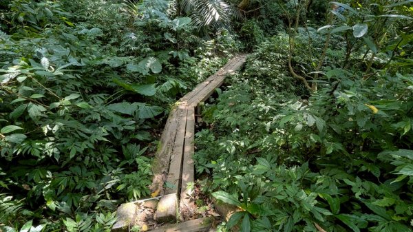 114.08.09溪洲山-新溪洲山之旅2856788