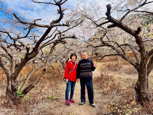 🌈1/17（六）蔡家古厝賞梅×梅子夢工廠×車埕老街✨FB：熊熊趴爬走🌈2983930