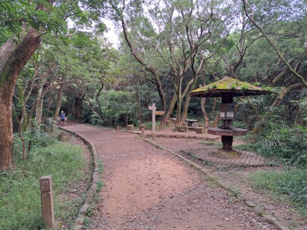 小百岳集起來大崙頭尾山親山步道3127369