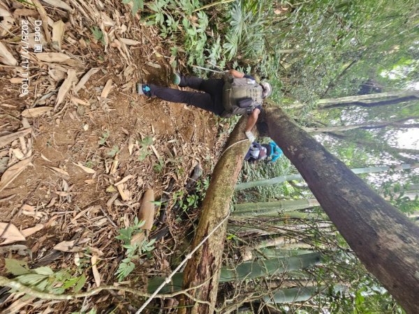 20251117新竹內灣三山四峰(內灣山.麥樹仁山南峰.麥樹仁山.白石湖山)2939905