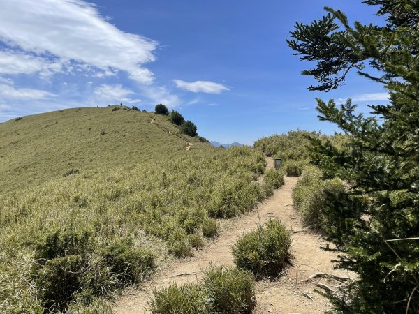 合歡北、西峰(三訪)113.04.212492802