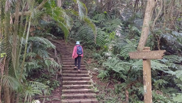 (姨婆趴趴走)第五十五集:攀登健走台北大崙頭尾山親山步道環狀一圈2853715