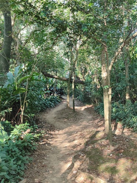 微笑山線：【大棟山系】405高地段2874149