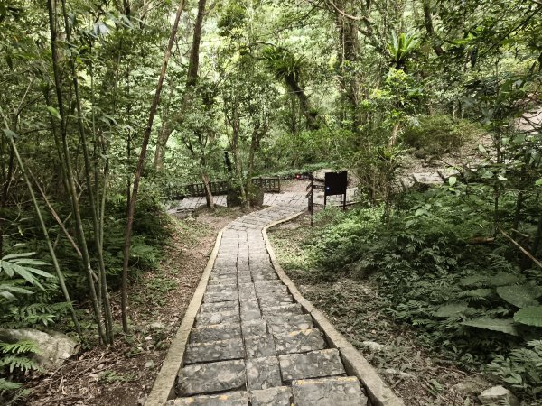 [百山百鳥尋旅-09/15] 2025_0920 滿月圓國家森林遊樂區步道群2893077