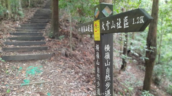 《台中》優美稜線｜橫嶺山自然步道（大雪山社區南登山口）202505312800190